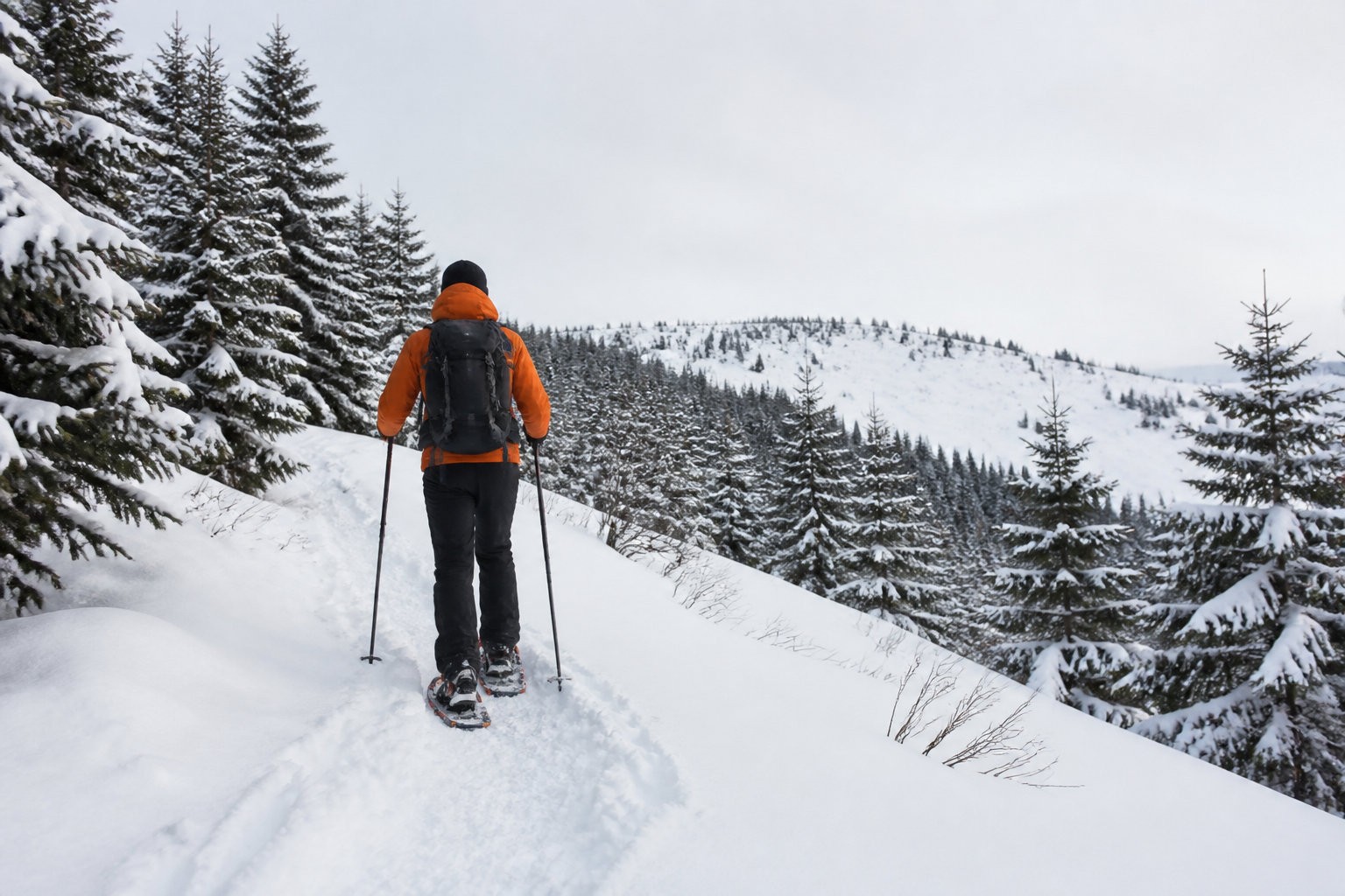 雪山の斜面をスノーシューで歩くハイカーの使用イメージ